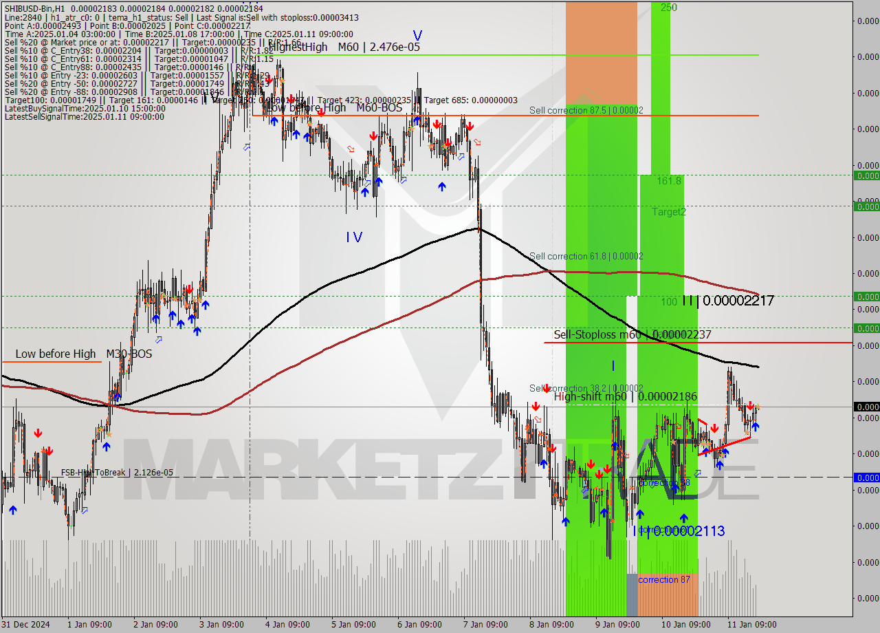 SHIBUSD-Bin MultiTimeframe analysis at date 2025.01.11 22:00