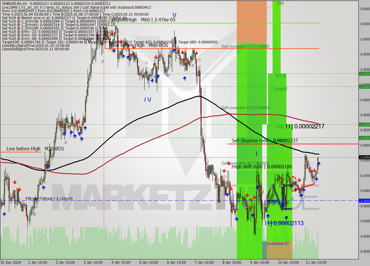 SHIBUSD-Bin MultiTimeframe analysis at date 2025.01.11 23:01