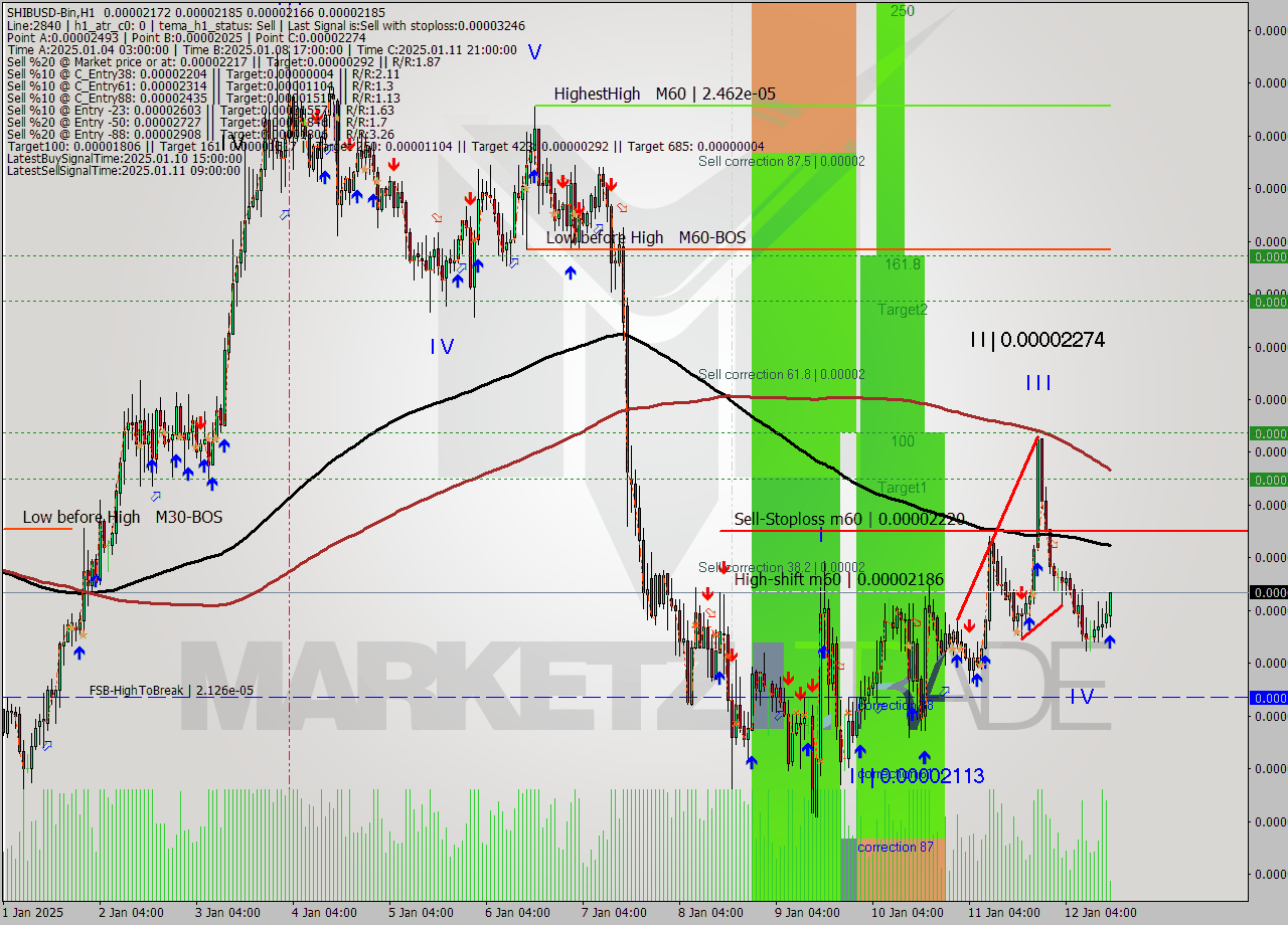 SHIBUSD-Bin MultiTimeframe analysis at date 2025.01.12 17:21