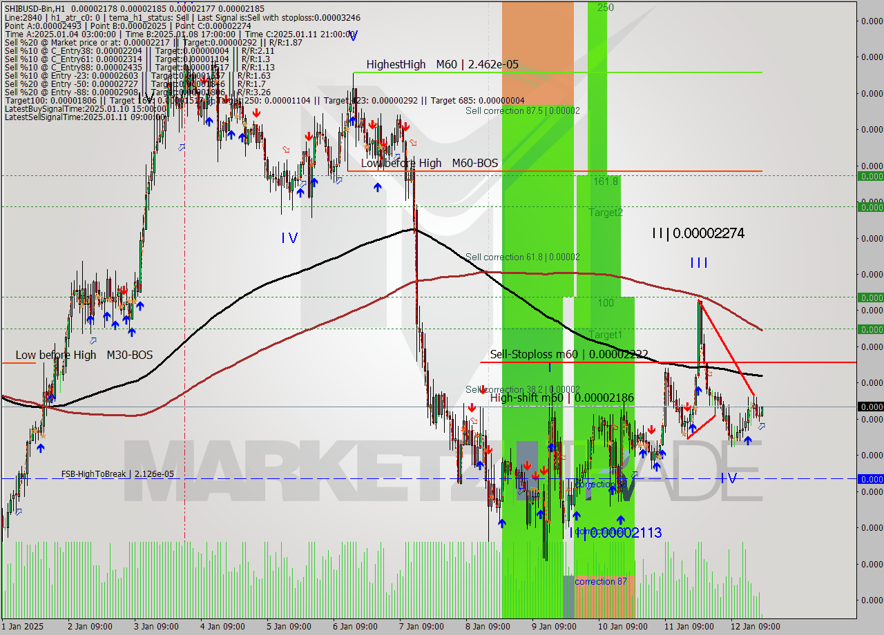SHIBUSD-Bin MultiTimeframe analysis at date 2025.01.12 22:07