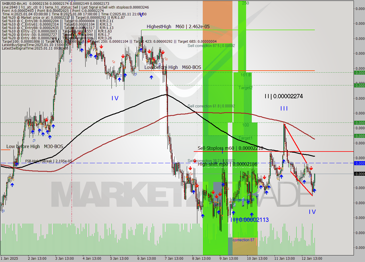 SHIBUSD-Bin MultiTimeframe analysis at date 2025.01.13 02:16