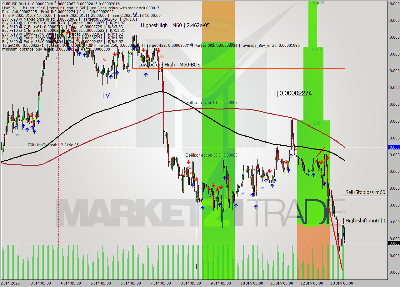 SHIBUSD-Bin MultiTimeframe analysis at date 2025.01.13 18:59