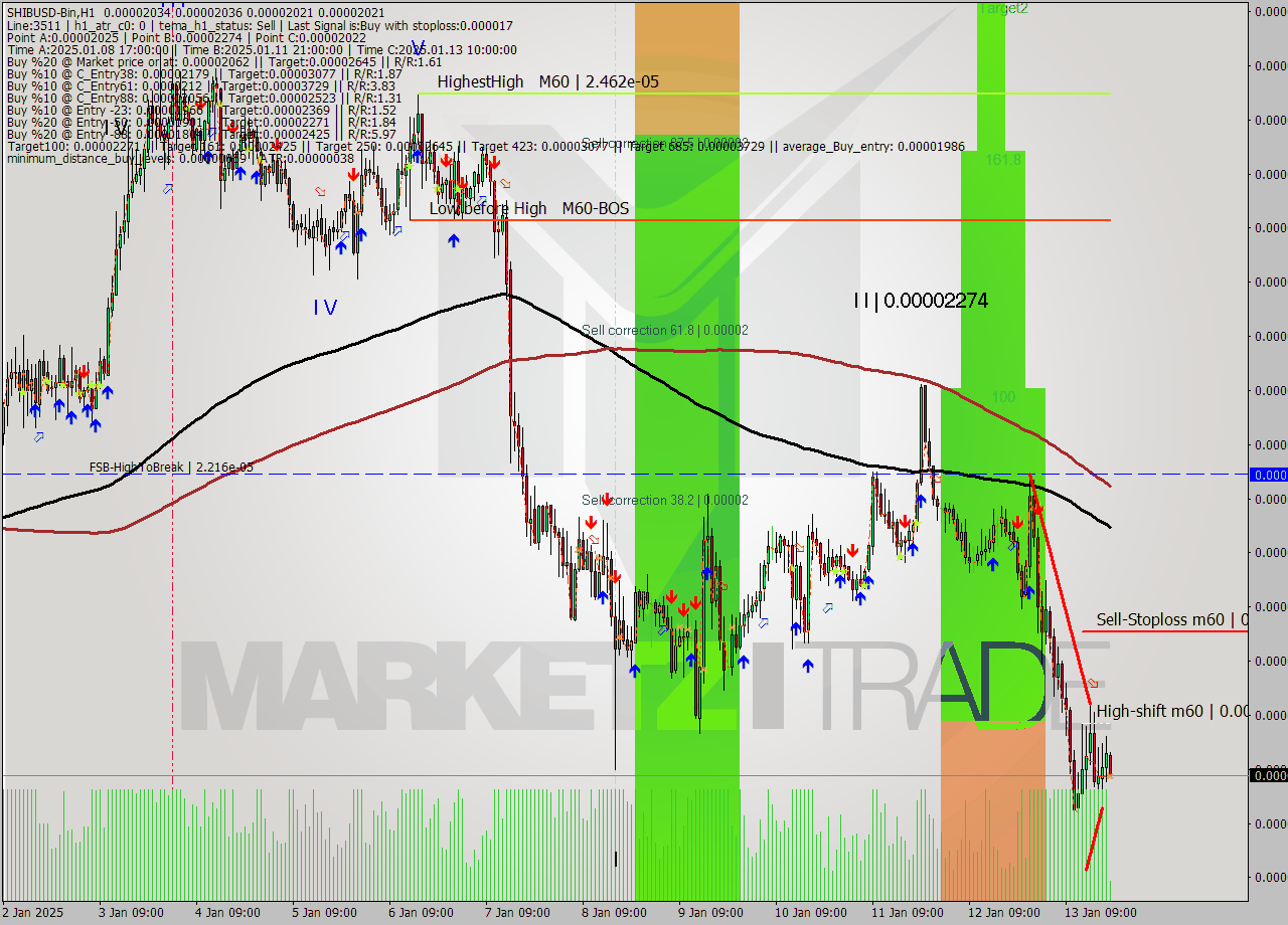 SHIBUSD-Bin MultiTimeframe analysis at date 2025.01.13 22:07