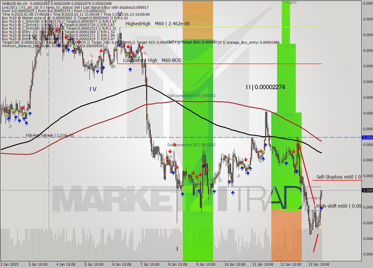 SHIBUSD-Bin MultiTimeframe analysis at date 2025.01.13 23:30