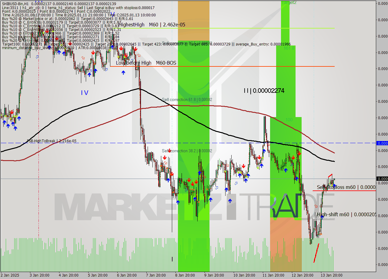 SHIBUSD-Bin MultiTimeframe analysis at date 2025.01.14 09:00