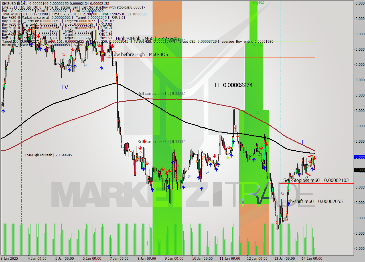 SHIBUSD-Bin MultiTimeframe analysis at date 2025.01.14 22:03