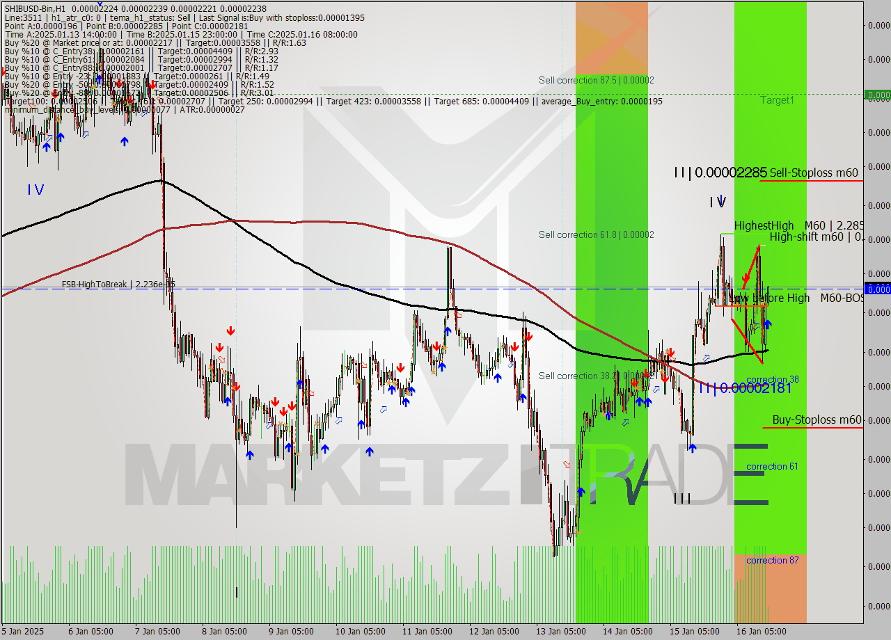 SHIBUSD-Bin MultiTimeframe analysis at date 2025.01.16 18:04