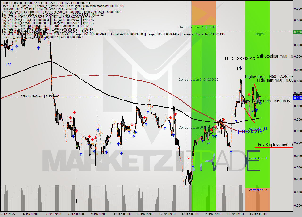 SHIBUSD-Bin MultiTimeframe analysis at date 2025.01.16 22:00