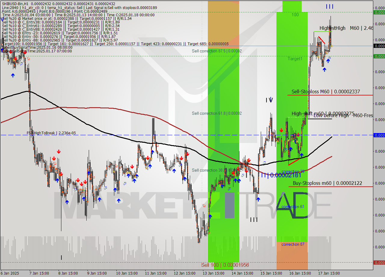 SHIBUSD-Bin MultiTimeframe analysis at date 2025.01.18 04:00