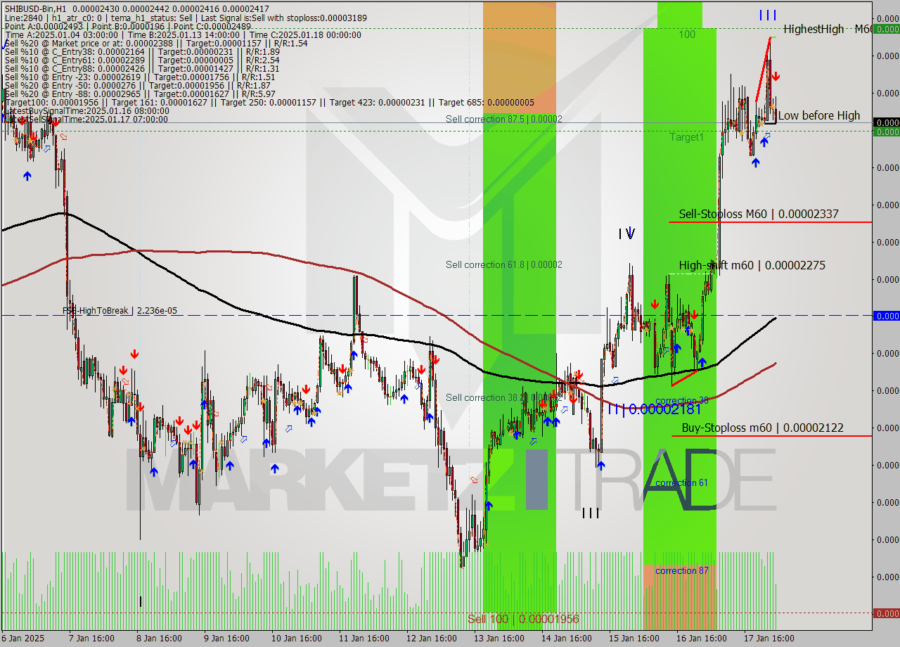 SHIBUSD-Bin MultiTimeframe analysis at date 2025.01.18 05:21