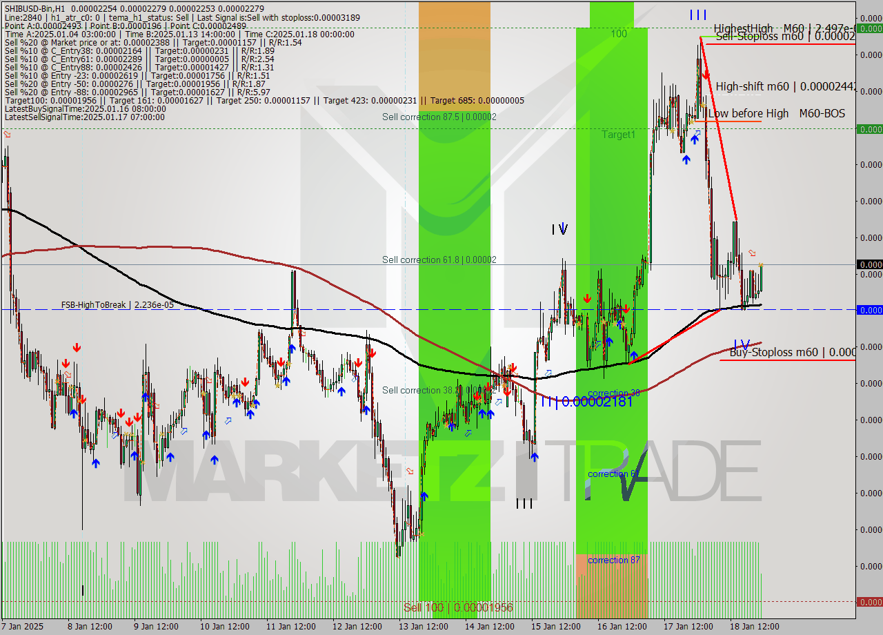 SHIBUSD-Bin MultiTimeframe analysis at date 2025.01.19 01:40