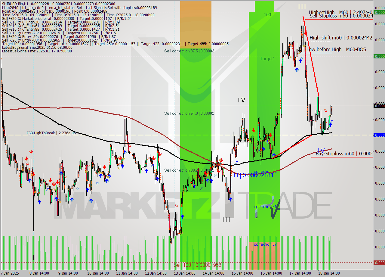 SHIBUSD-Bin MultiTimeframe analysis at date 2025.01.19 03:12