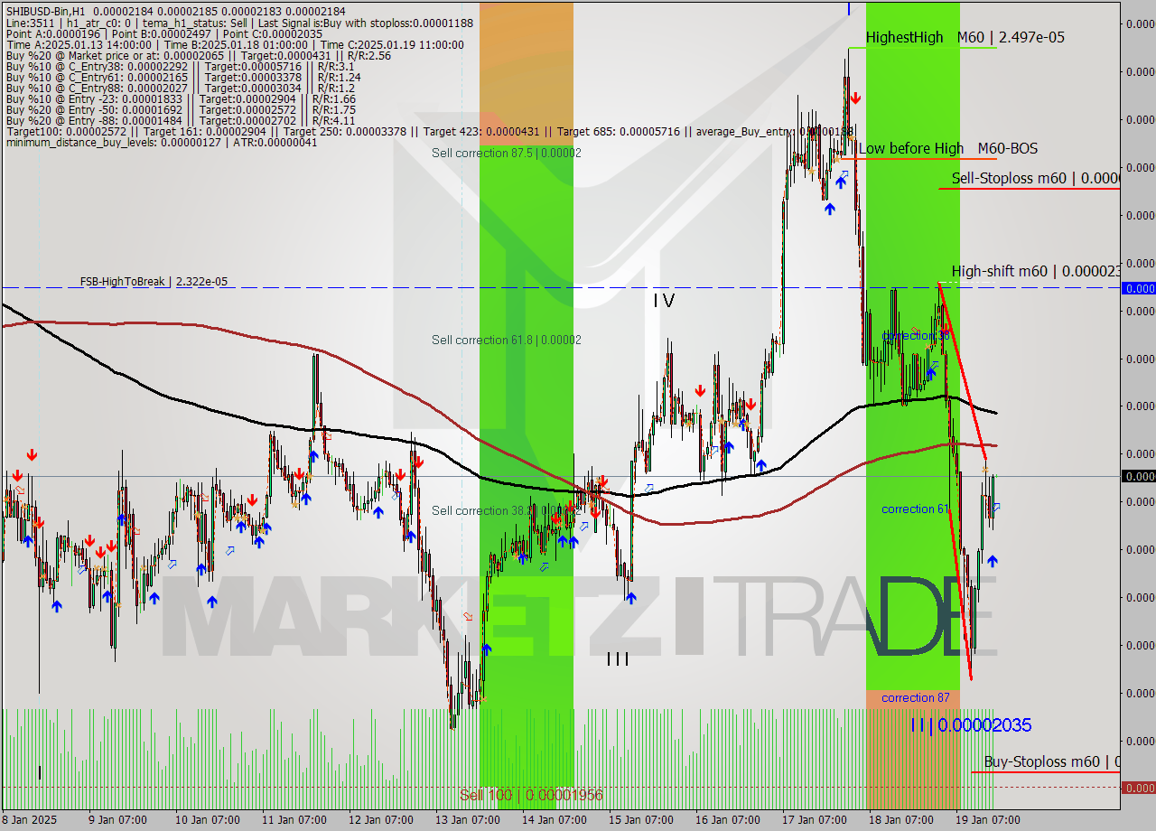 SHIBUSD-Bin MultiTimeframe analysis at date 2025.01.19 20:00