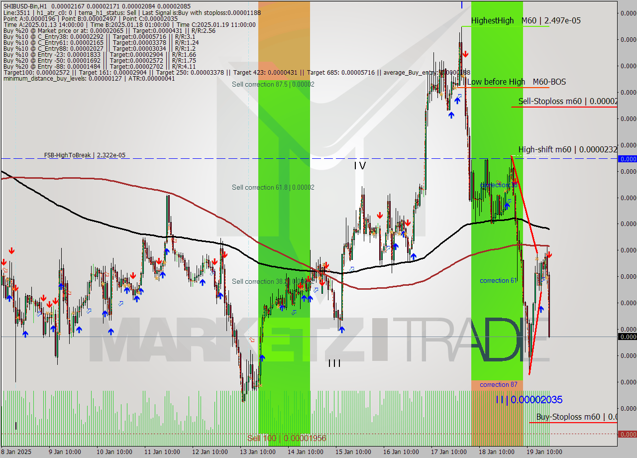 SHIBUSD-Bin MultiTimeframe analysis at date 2025.01.19 23:34