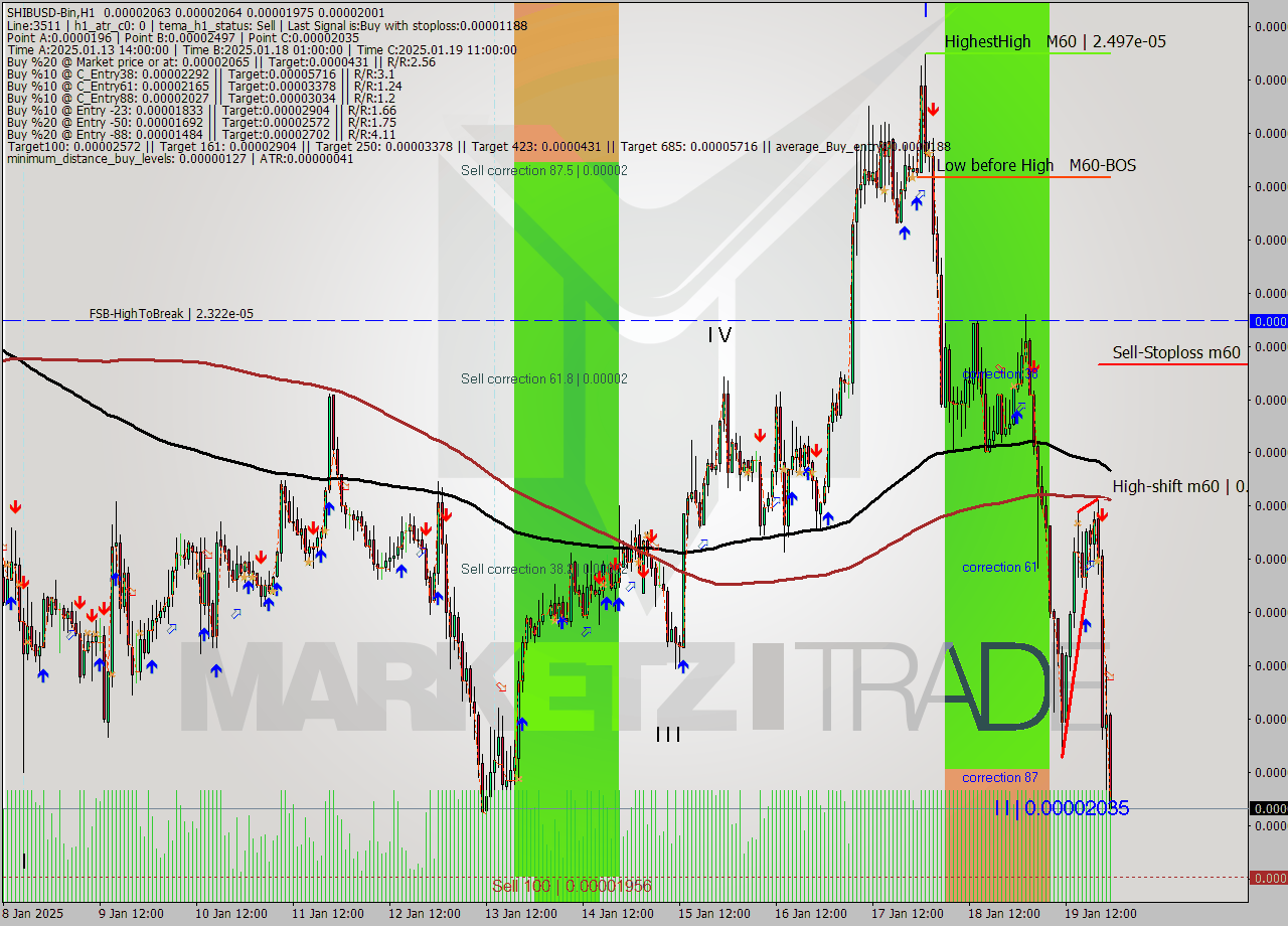 SHIBUSD-Bin MultiTimeframe analysis at date 2025.01.20 01:28