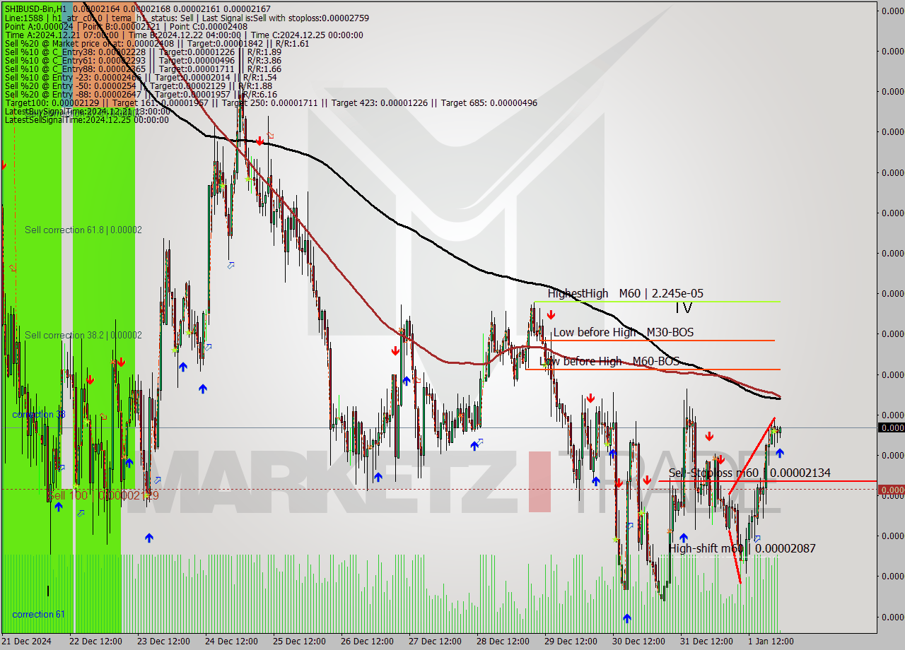 SHIBUSD-Bin MultiTimeframe analysis at date 2025.01.02 01:05