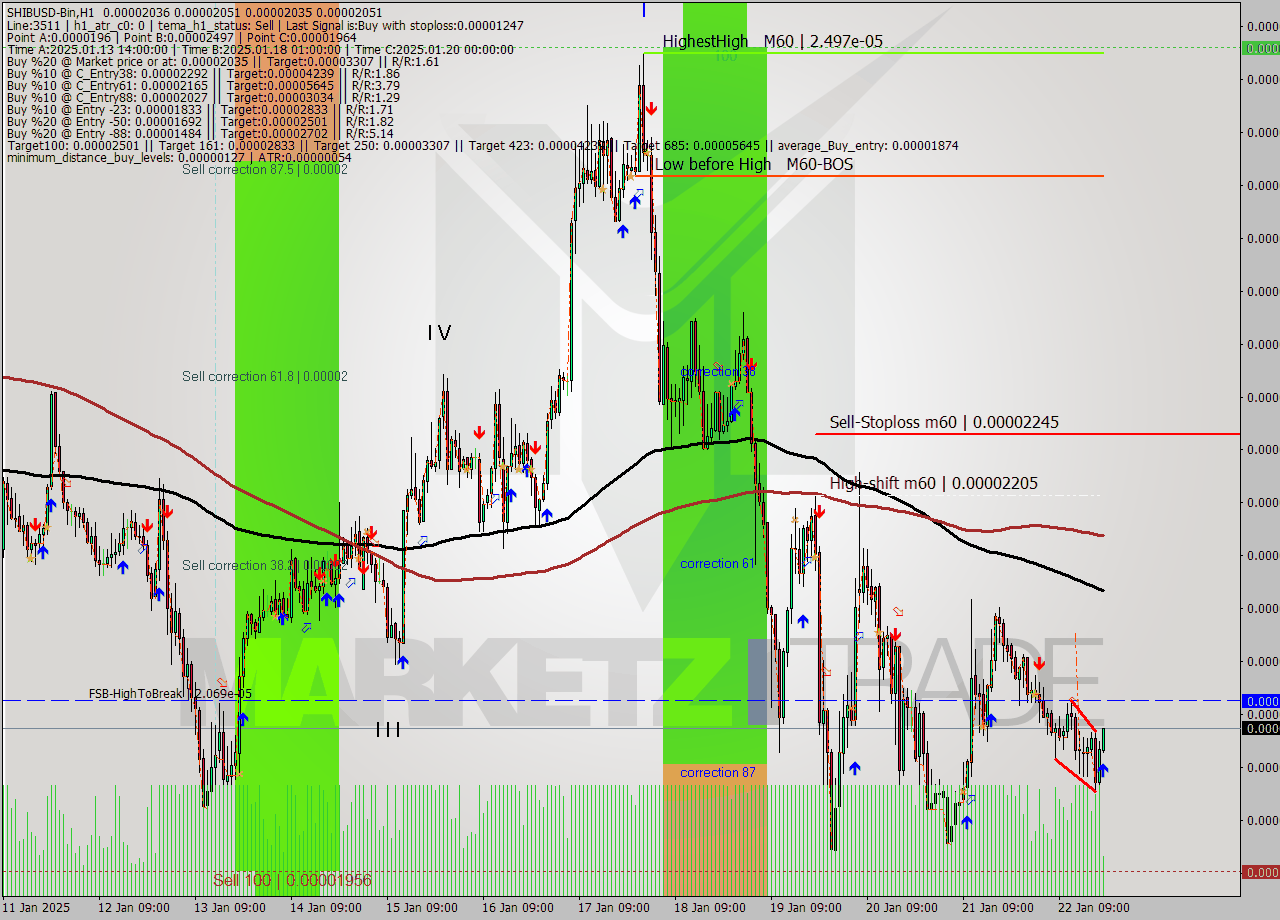 SHIBUSD-Bin MultiTimeframe analysis at date 2025.01.22 22:26