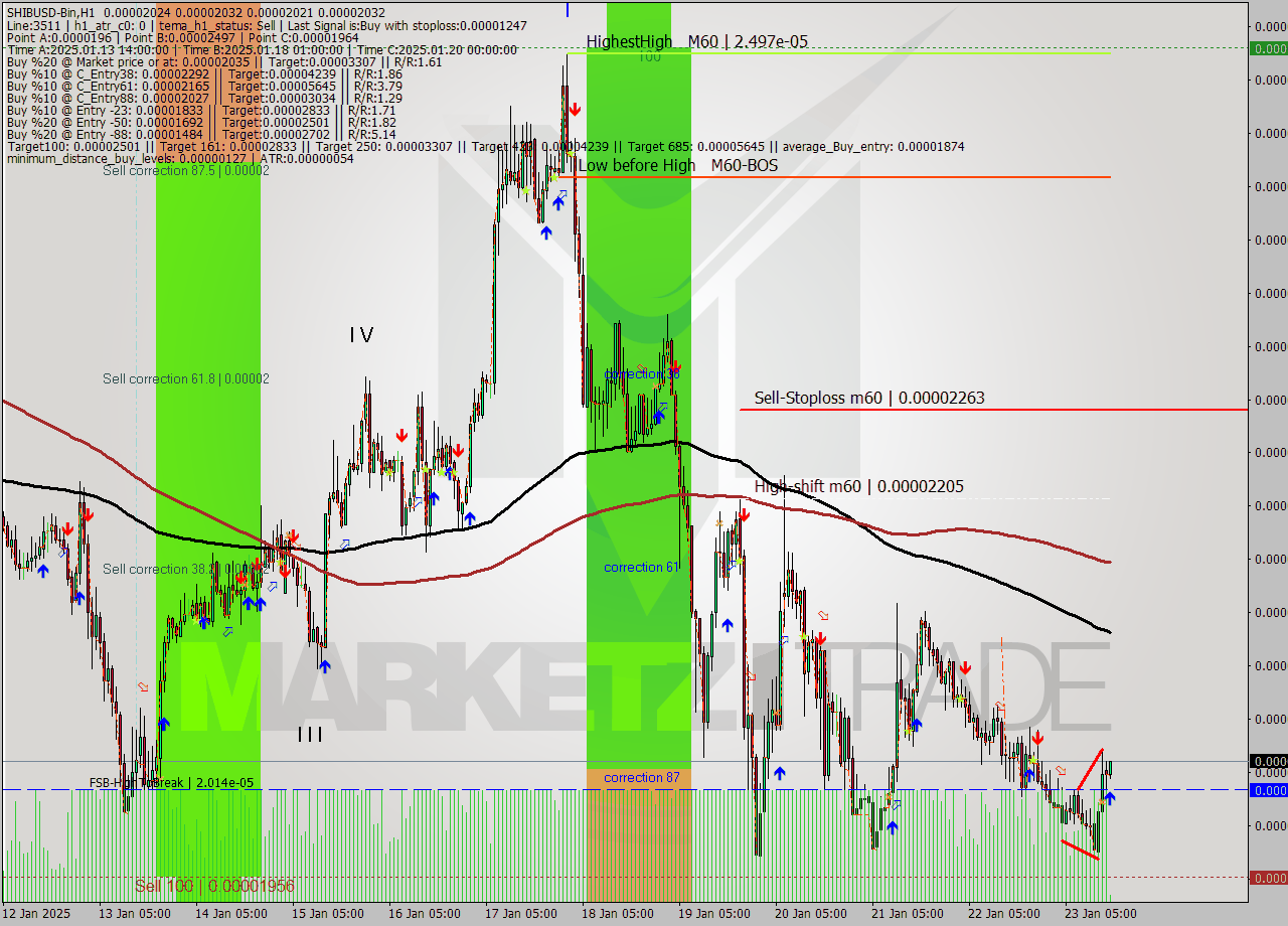 SHIBUSD-Bin MultiTimeframe analysis at date 2025.01.23 18:04