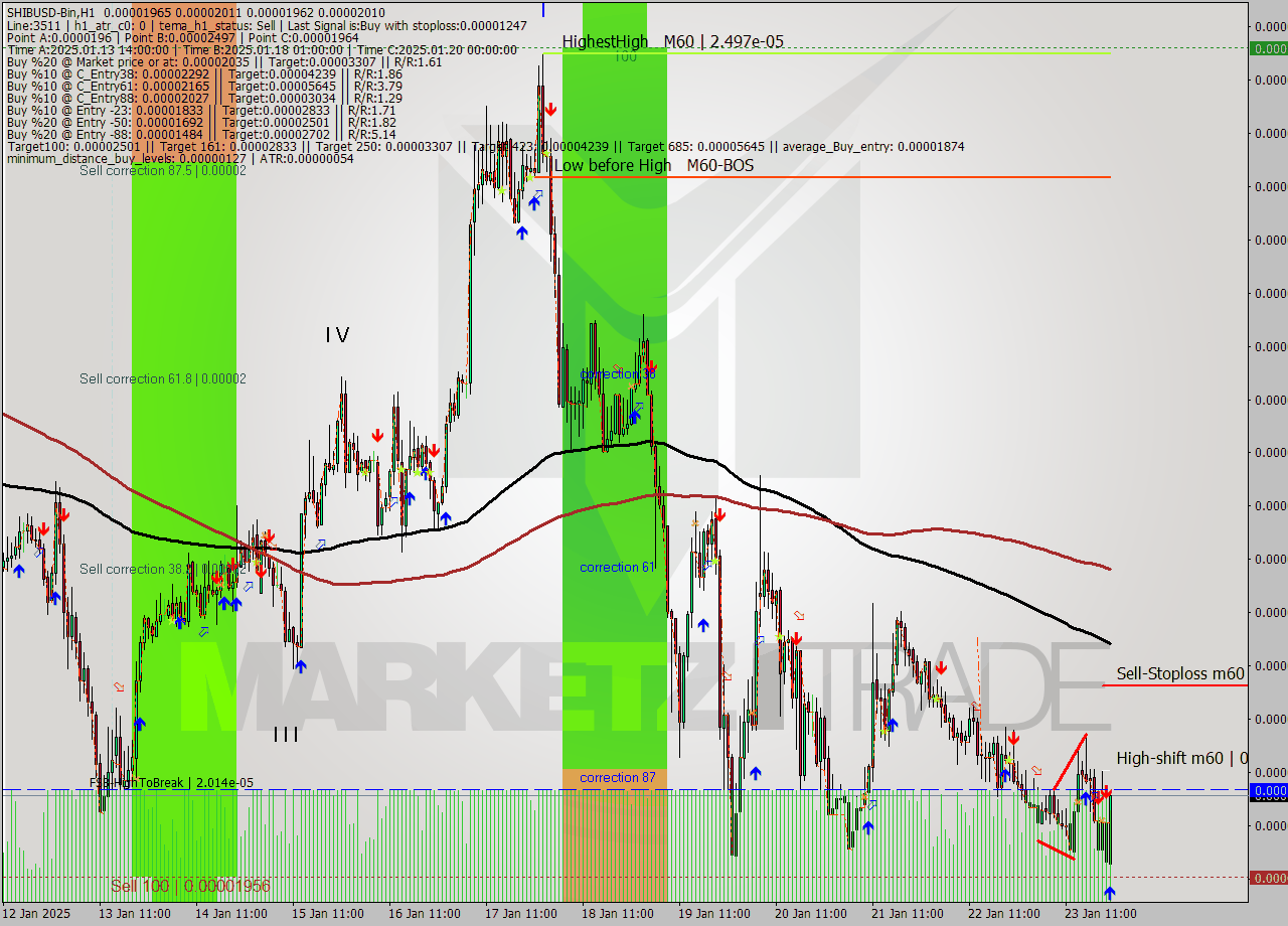 SHIBUSD-Bin MultiTimeframe analysis at date 2025.01.24 00:32