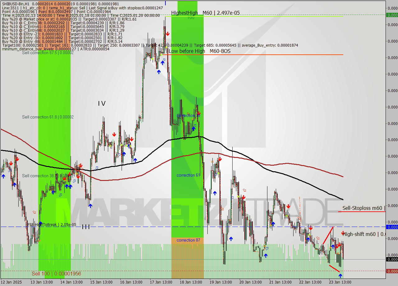 SHIBUSD-Bin MultiTimeframe analysis at date 2025.01.24 02:50