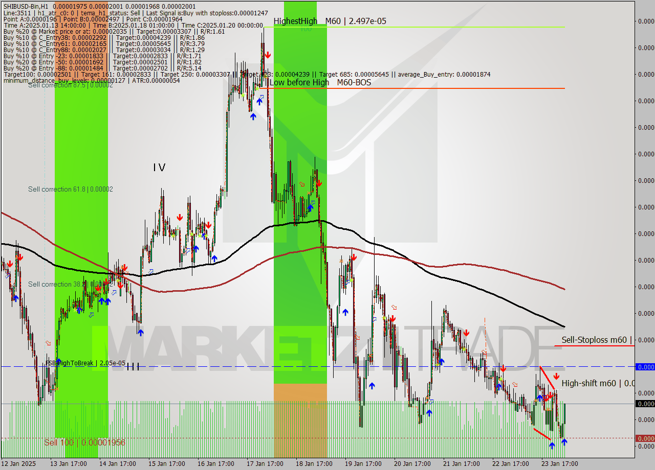SHIBUSD-Bin MultiTimeframe analysis at date 2025.01.24 06:46