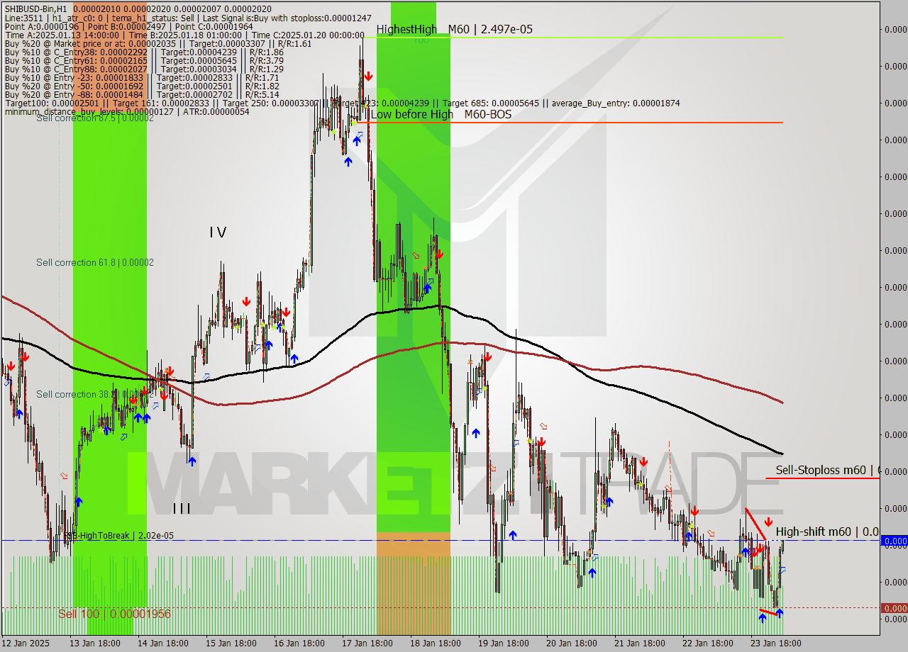 SHIBUSD-Bin MultiTimeframe analysis at date 2025.01.24 07:11
