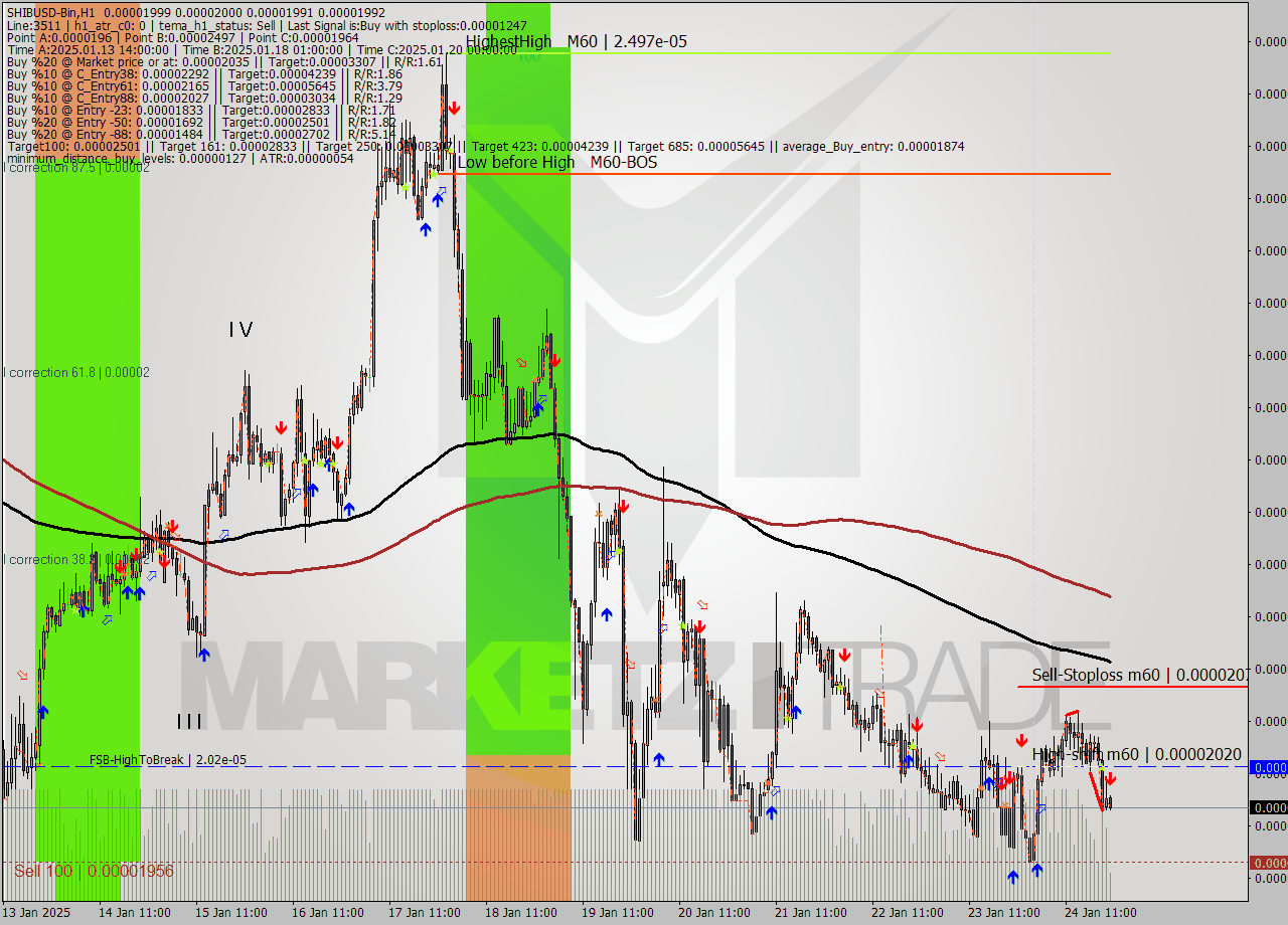 SHIBUSD-Bin MultiTimeframe analysis at date 2025.01.25 00:13