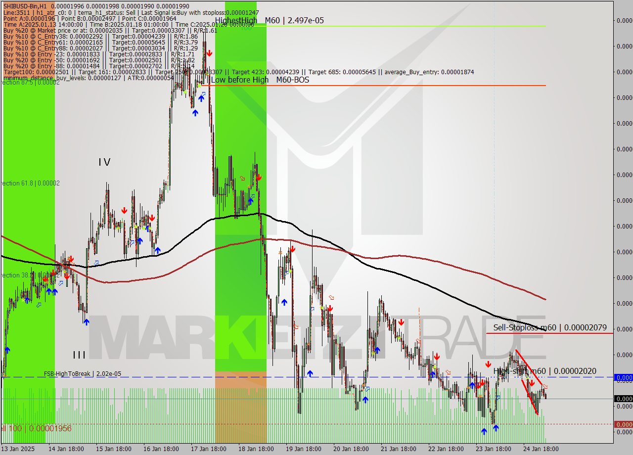 SHIBUSD-Bin MultiTimeframe analysis at date 2025.01.25 07:09