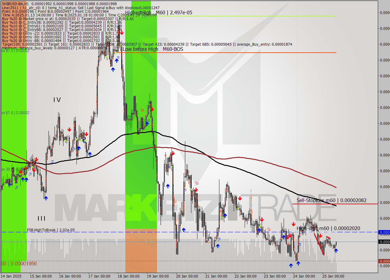 SHIBUSD-Bin MultiTimeframe analysis at date 2025.01.25 13:40