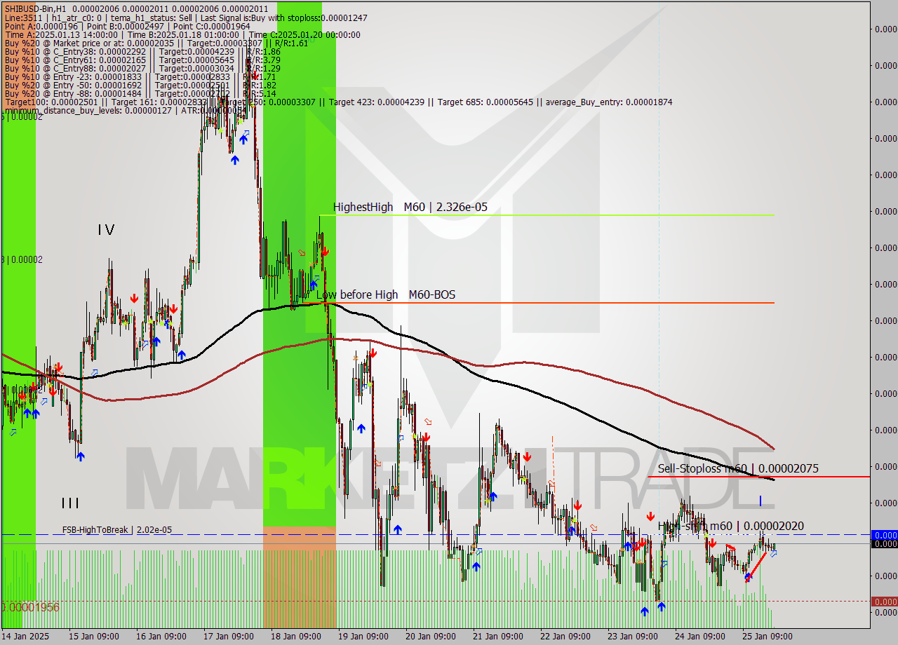 SHIBUSD-Bin MultiTimeframe analysis at date 2025.01.25 22:02