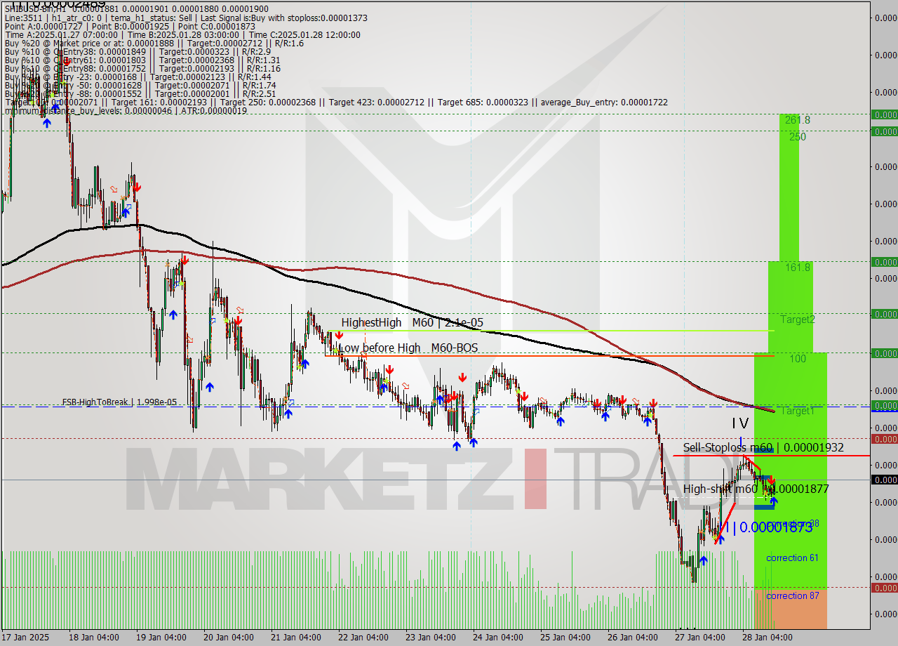 SHIBUSD-Bin MultiTimeframe analysis at date 2025.01.28 17:04