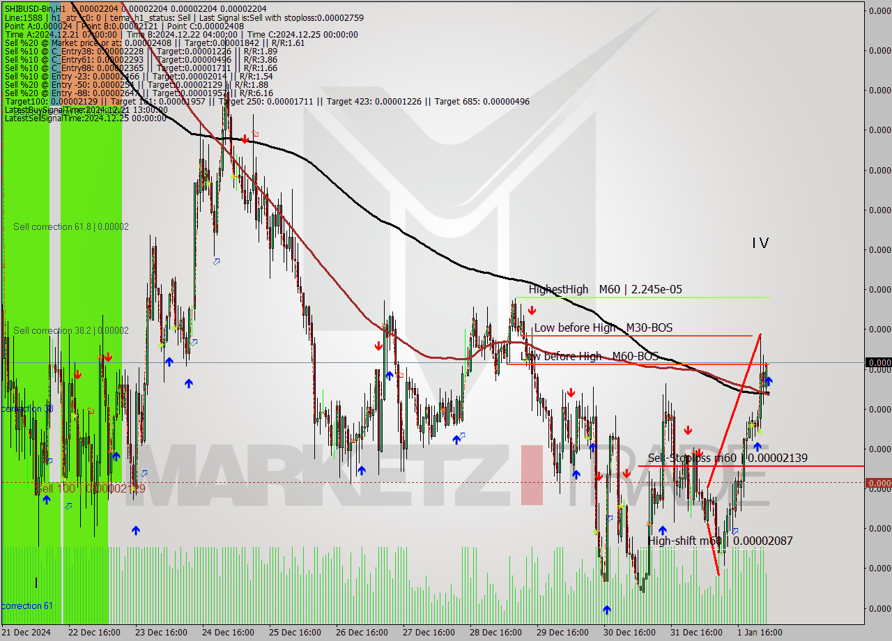 SHIBUSD-Bin MultiTimeframe analysis at date 2025.01.02 05:00
