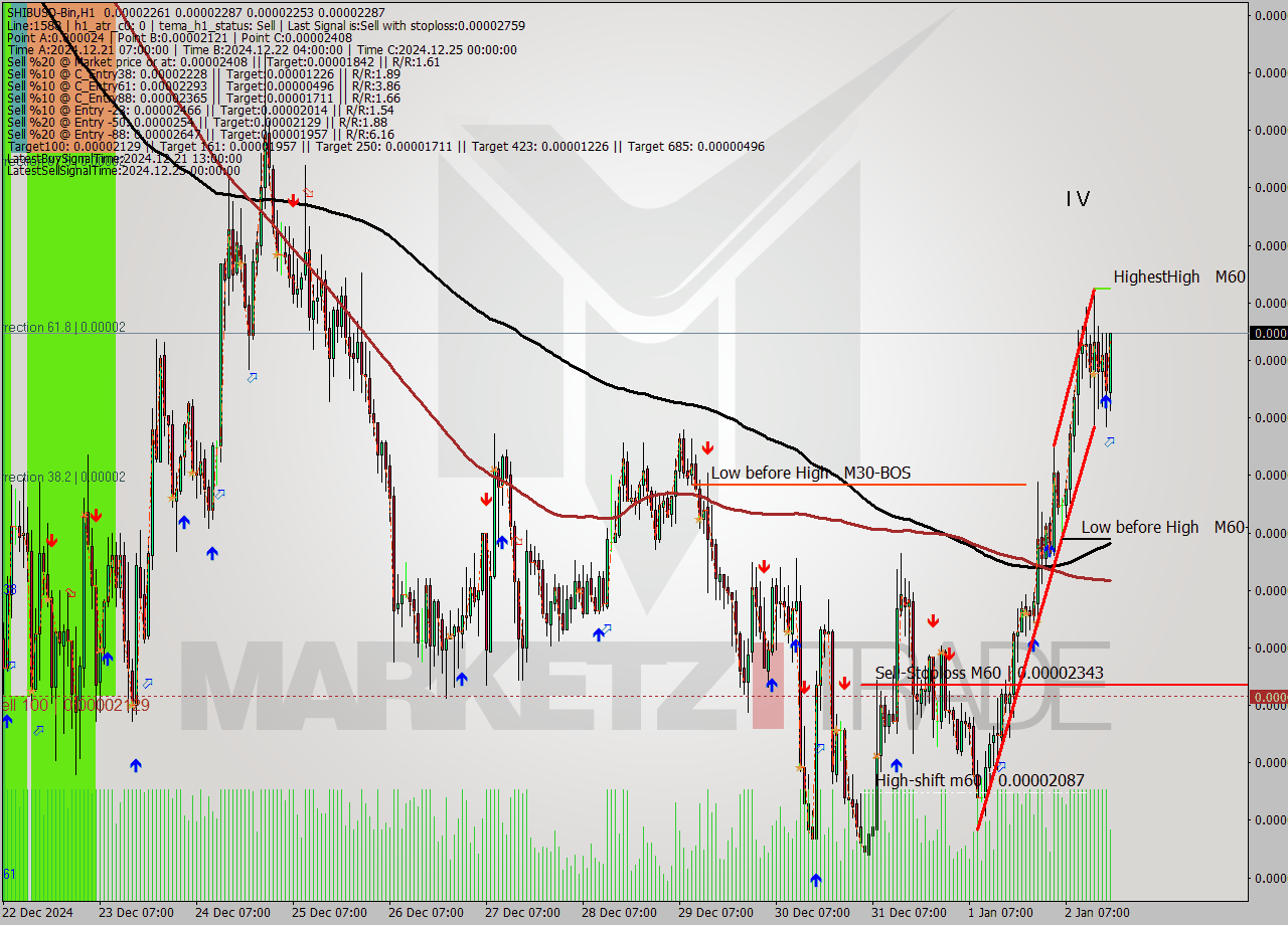 SHIBUSD-Bin MultiTimeframe analysis at date 2025.01.02 20:57
