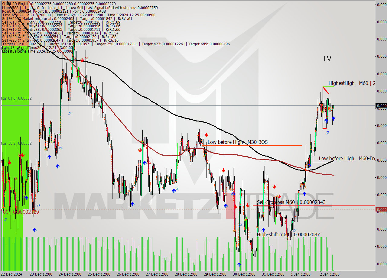 SHIBUSD-Bin MultiTimeframe analysis at date 2025.01.03 01:02