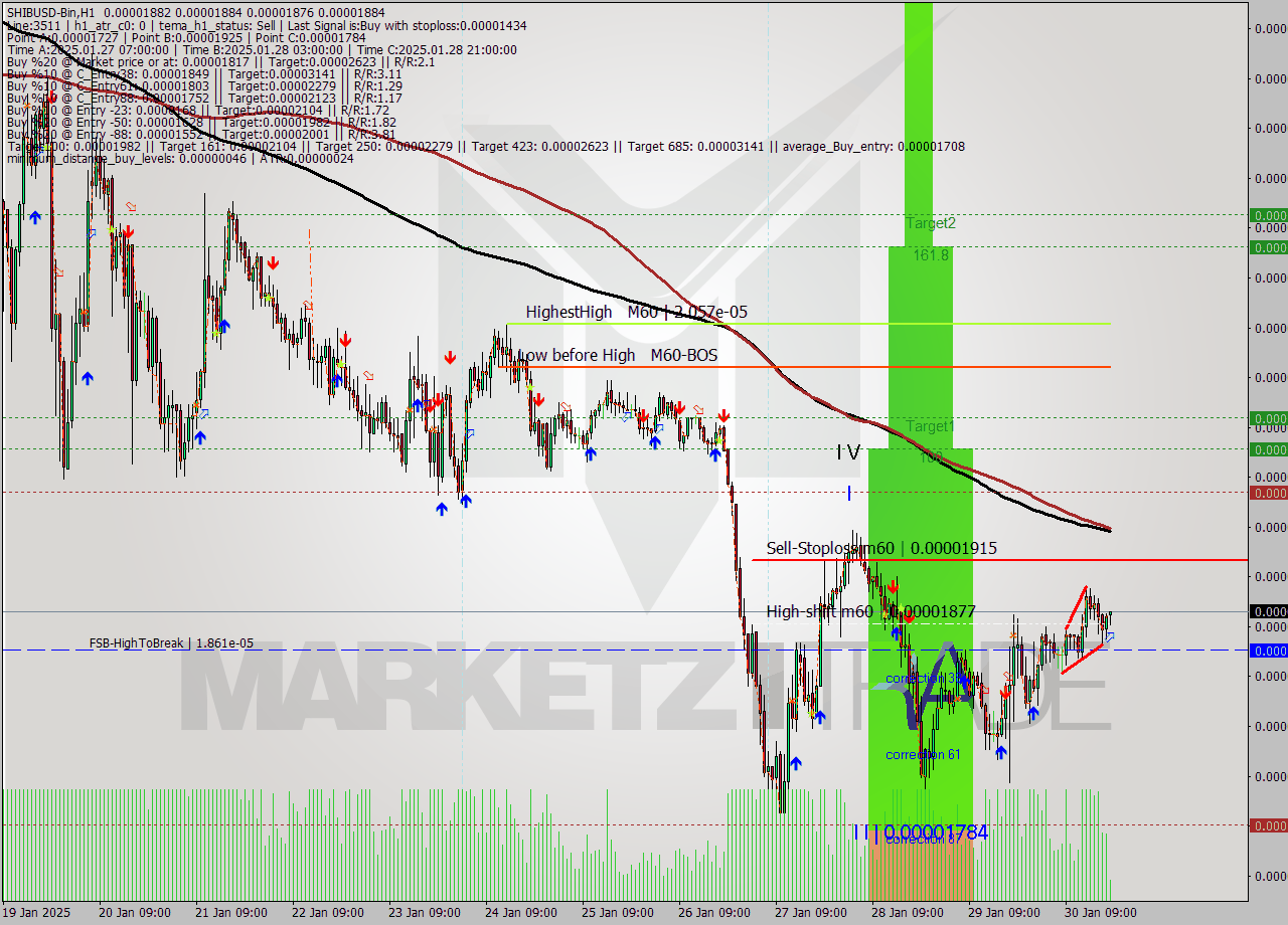 SHIBUSD-Bin MultiTimeframe analysis at date 2025.01.30 22:19
