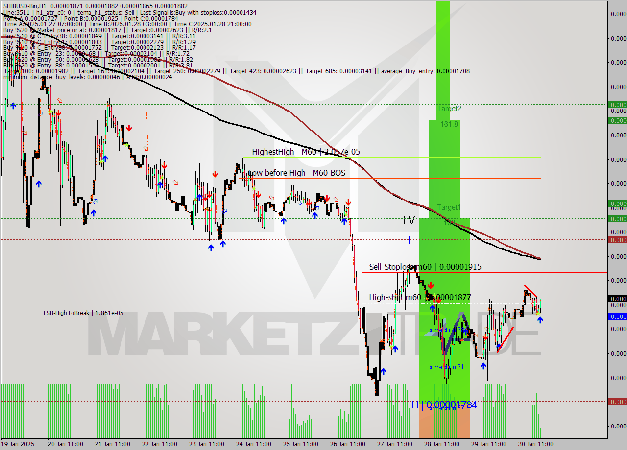 SHIBUSD-Bin MultiTimeframe analysis at date 2025.01.31 00:44