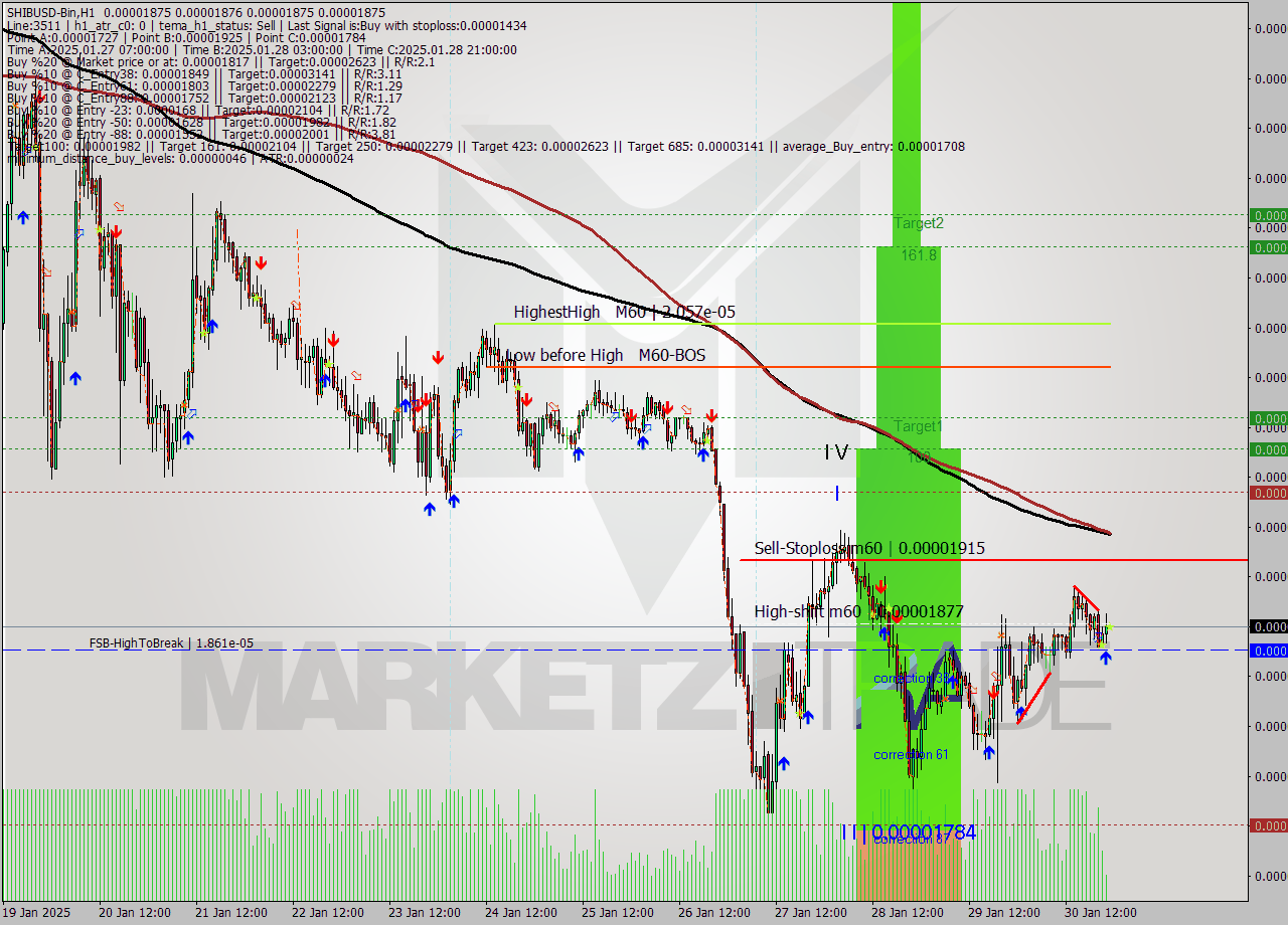 SHIBUSD-Bin MultiTimeframe analysis at date 2025.01.31 01:00