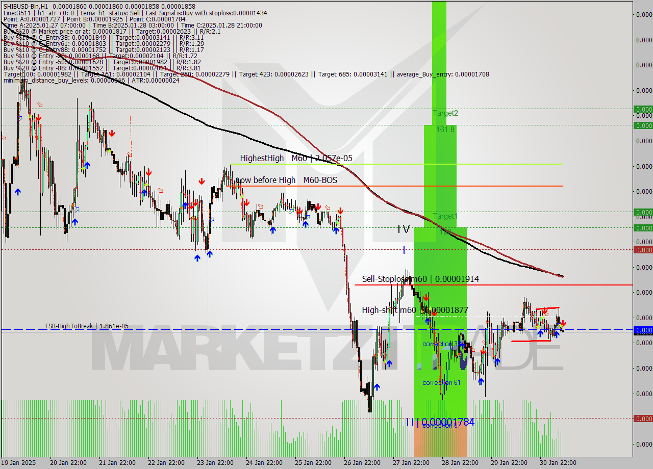 SHIBUSD-Bin MultiTimeframe analysis at date 2025.01.31 11:00