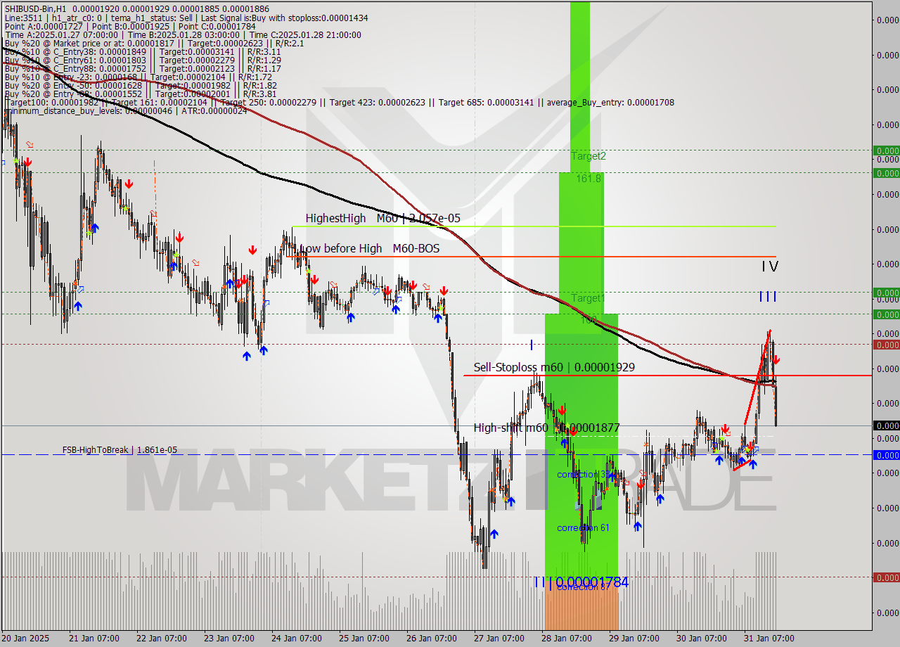 SHIBUSD-Bin MultiTimeframe analysis at date 2025.01.31 20:36