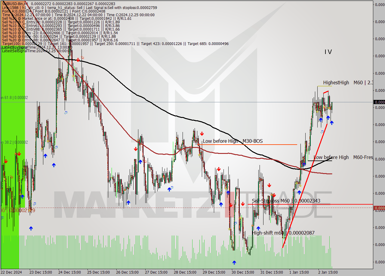 SHIBUSD-Bin MultiTimeframe analysis at date 2025.01.03 04:11