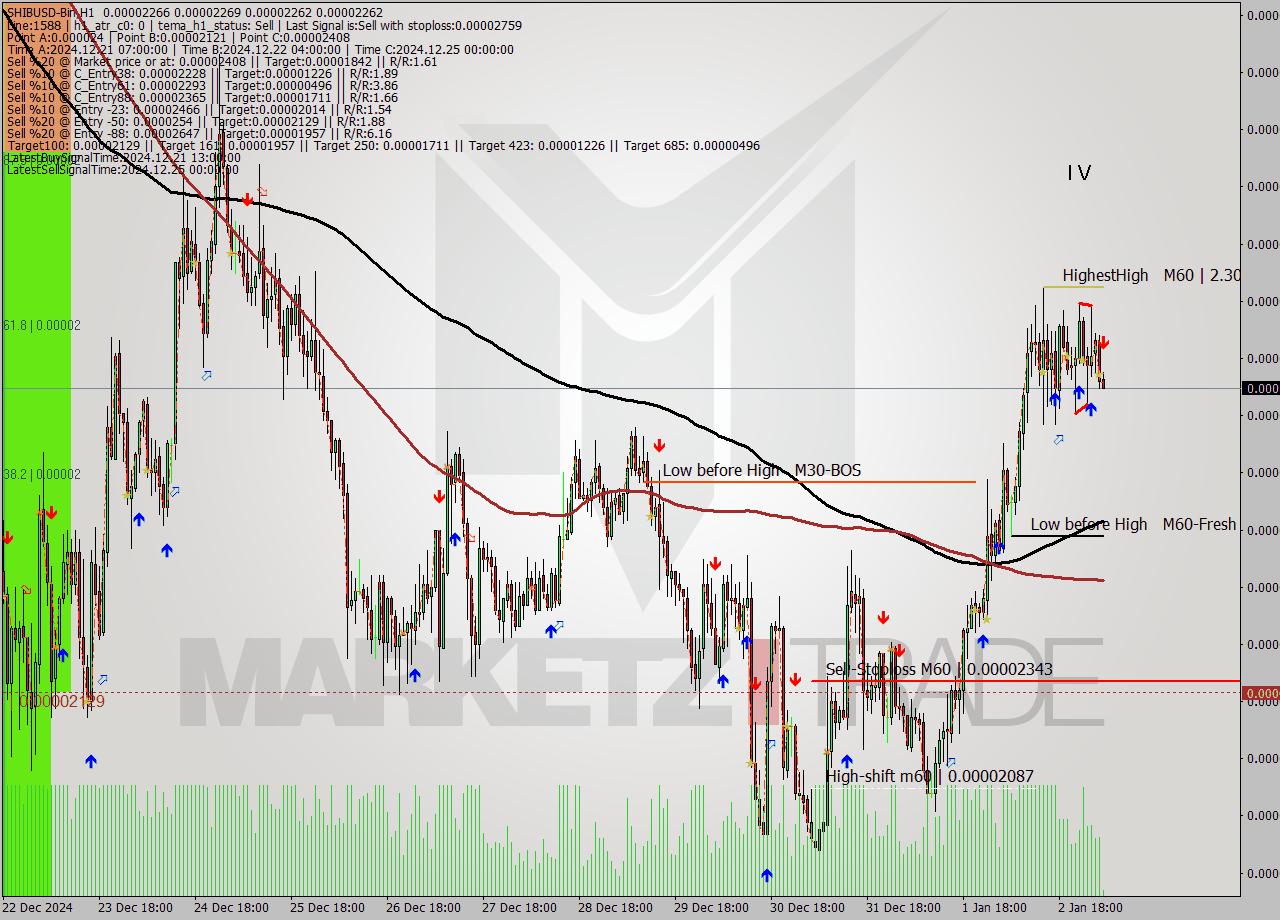 SHIBUSD-Bin MultiTimeframe analysis at date 2025.01.03 07:03