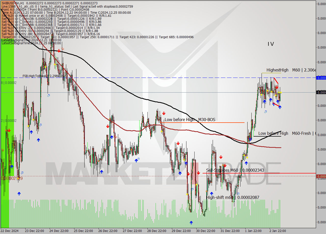 SHIBUSD-Bin MultiTimeframe analysis at date 2025.01.03 11:00