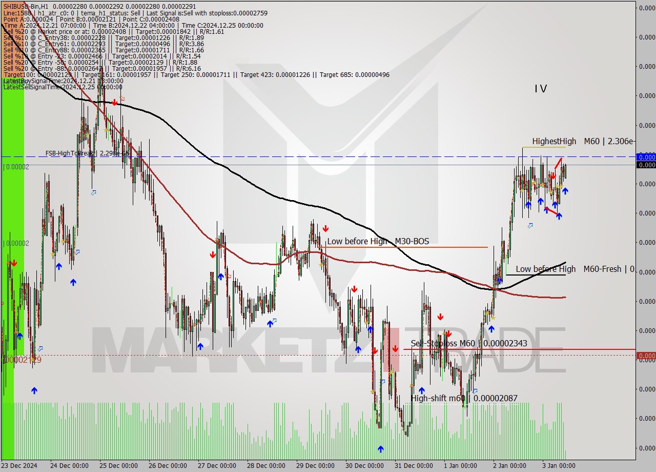 SHIBUSD-Bin MultiTimeframe analysis at date 2025.01.03 13:20