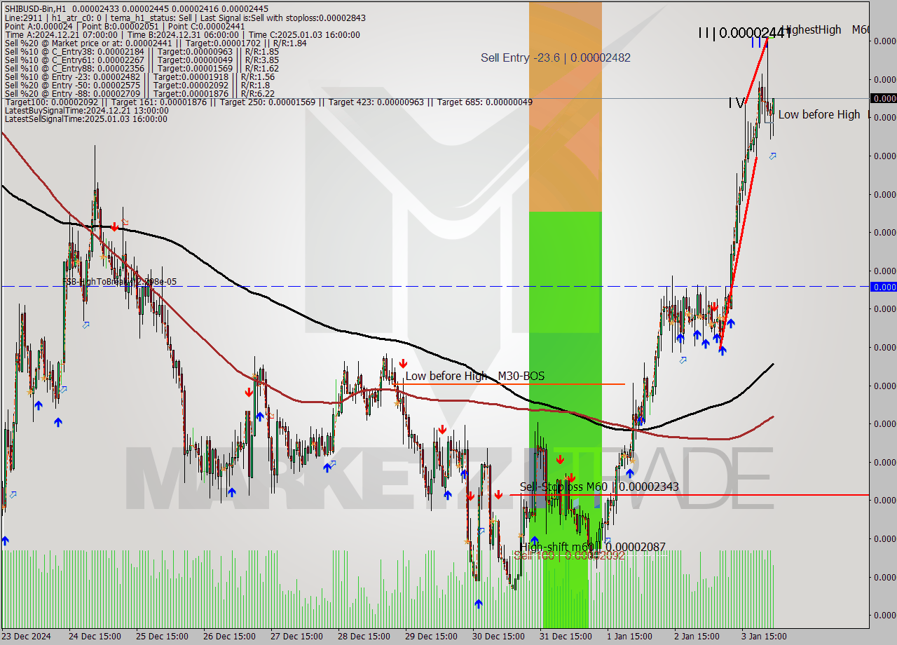 SHIBUSD-Bin MultiTimeframe analysis at date 2025.01.04 04:53