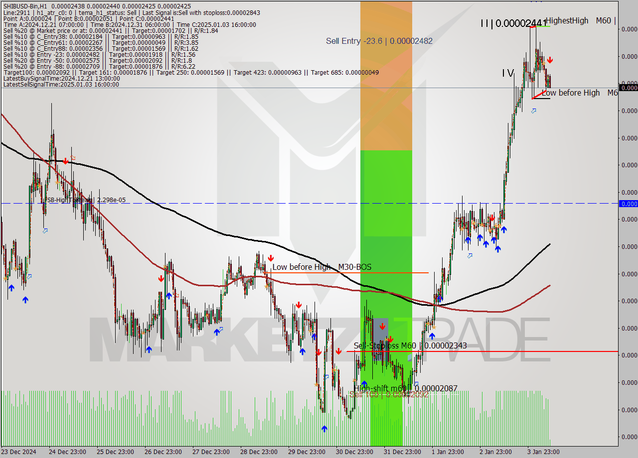 SHIBUSD-Bin MultiTimeframe analysis at date 2025.01.04 12:08