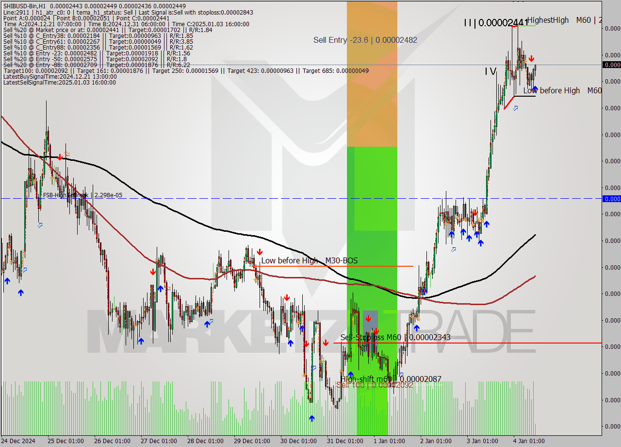 SHIBUSD-Bin MultiTimeframe analysis at date 2025.01.04 14:24
