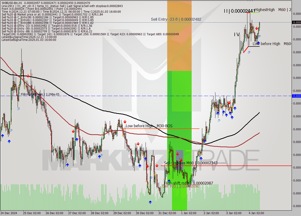 SHIBUSD-Bin MultiTimeframe analysis at date 2025.01.04 15:47