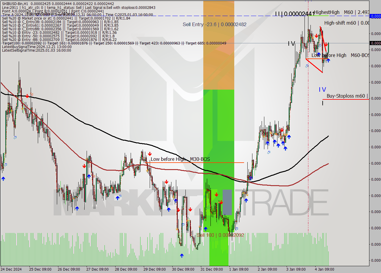 SHIBUSD-Bin MultiTimeframe analysis at date 2025.01.04 22:43