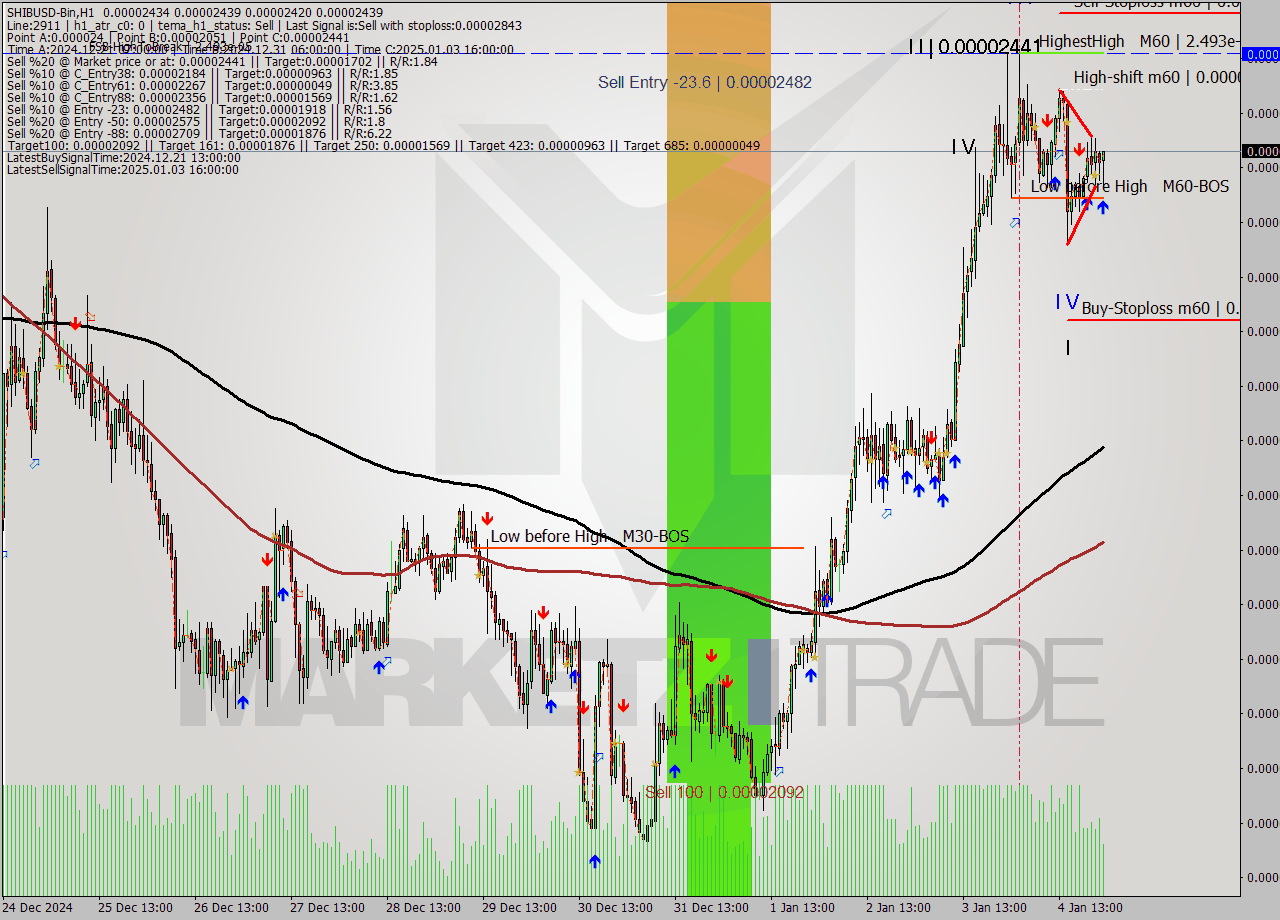 SHIBUSD-Bin MultiTimeframe analysis at date 2025.01.05 02:17