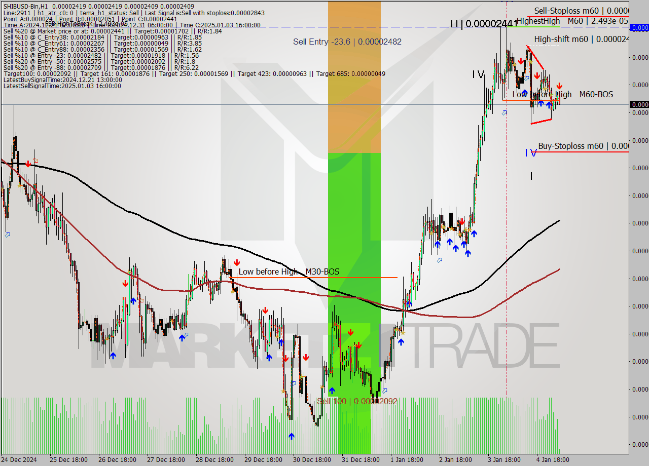 SHIBUSD-Bin MultiTimeframe analysis at date 2025.01.05 07:10